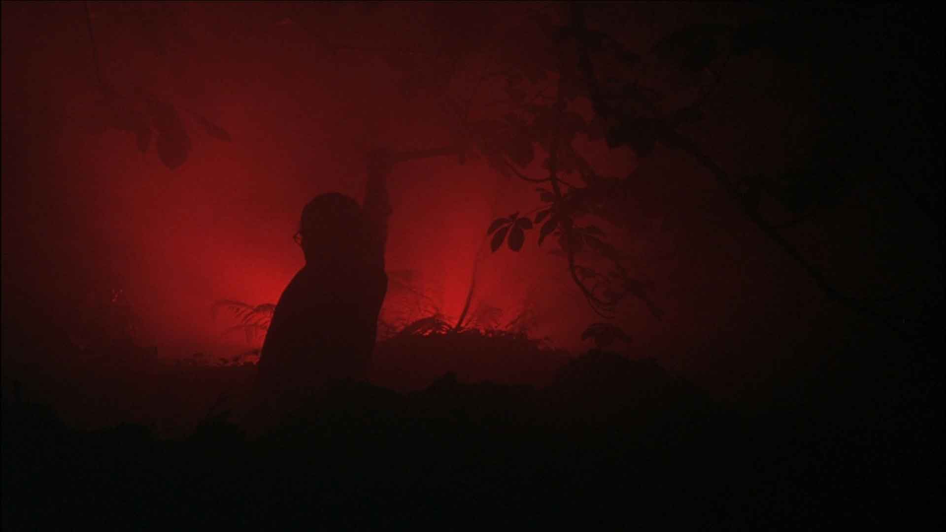 Shallow Grave - Review